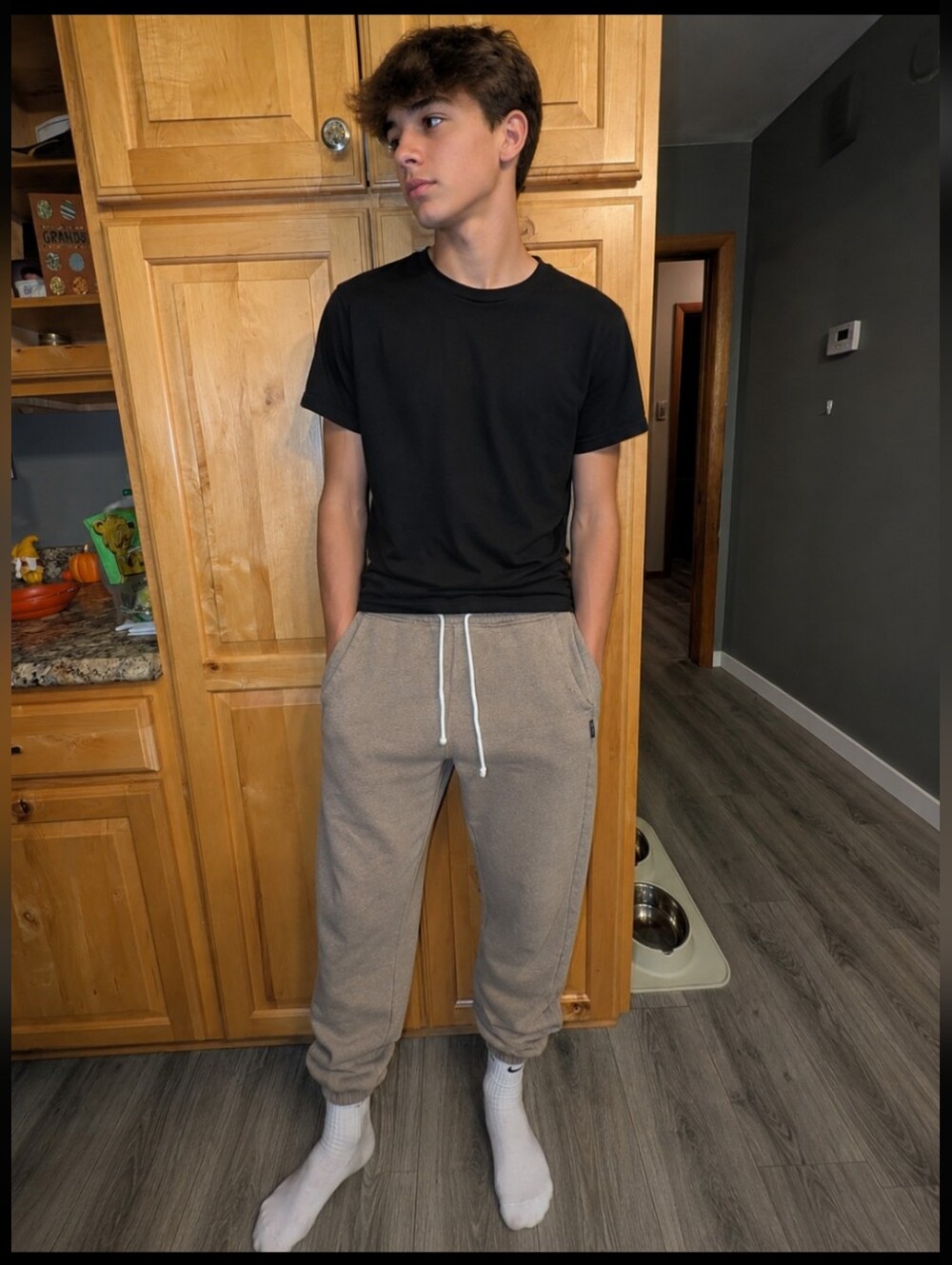 American Eagle Outfitters Men's Jogger Pants in Taupe